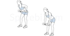 The 10 Dumbbell Back Exercises at Home for Female