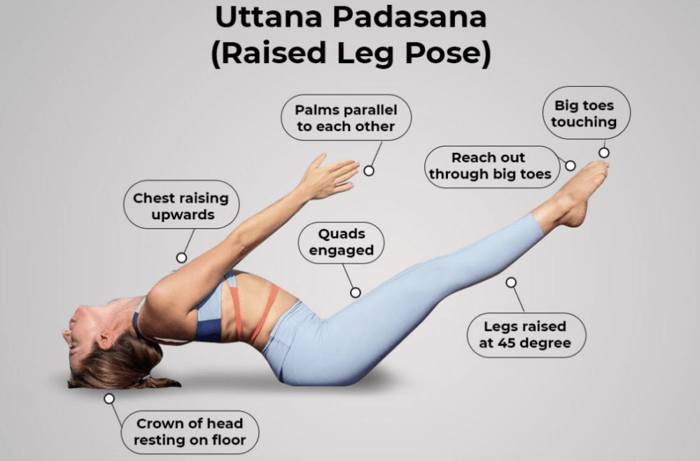 10 Effective Yoga Asanas to Reduce Belly Fat at Home (for Females)