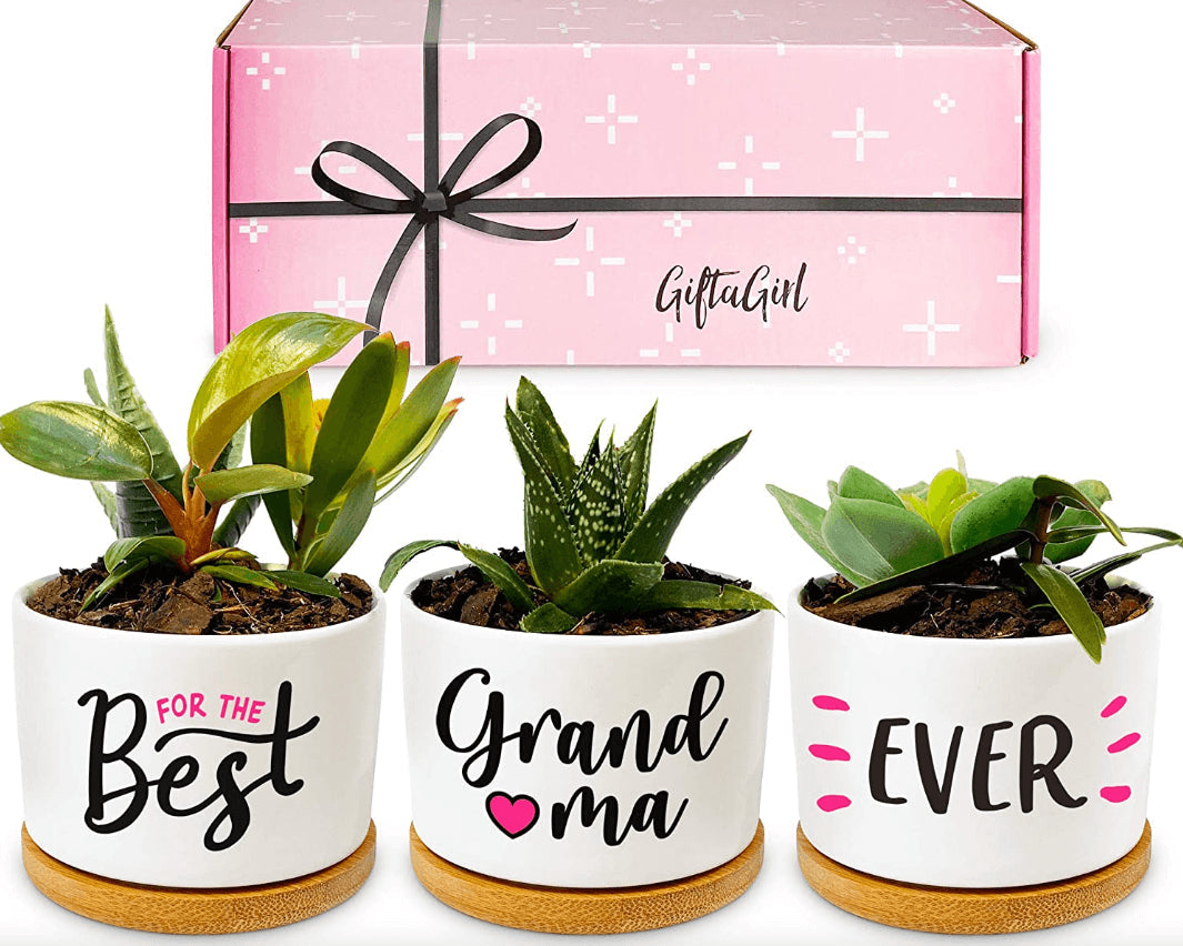 The 10 Best Mother’s Day Gifts from Grandkids (for Grandma)