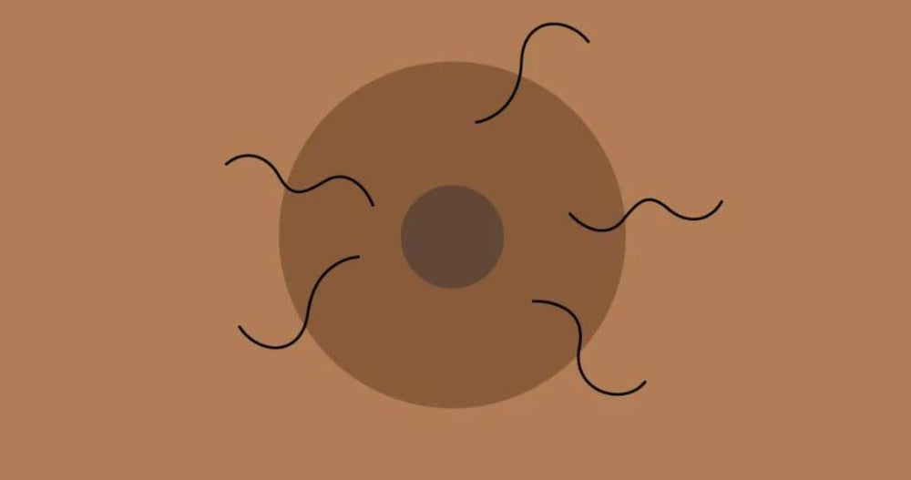 How to Get Rid of Nipple Hair? 6 Fool-Proof Ways