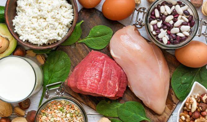 The 10 Best Pre-Workout Meals for Muscle Gain and Fat Loss