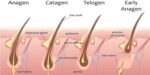 How Long Does a Wax Last? Expert Answer!