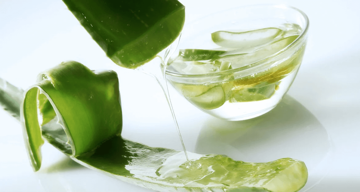 How to Use Aloe Vera for Hair Growth and Thickness?