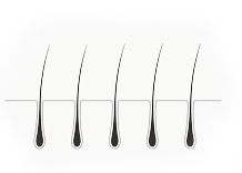 Fine-to-Normal Hair
