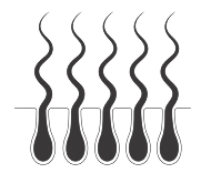 Bikini-Line Hair