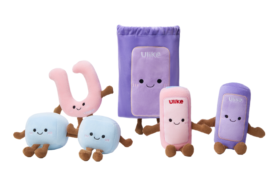 Blind box plush gift