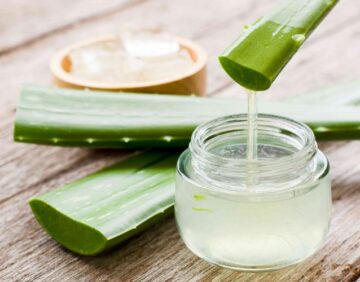 Aloe Vera