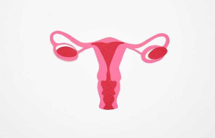 Overview of PCOS and its Effects on Body Hair