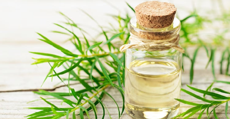 Tea Tree Oil