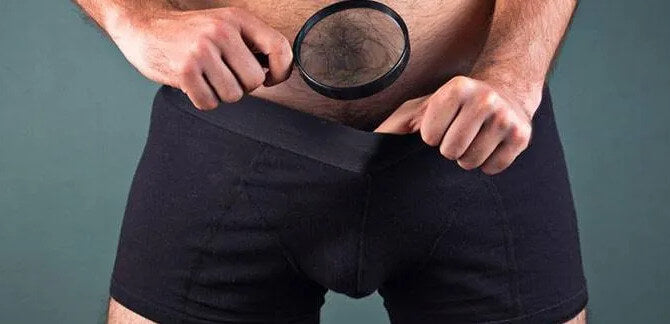 why does pubic hair grow